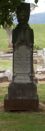 Full-size image