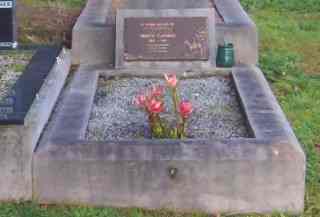 Full-size image