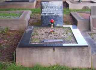 Full-size image