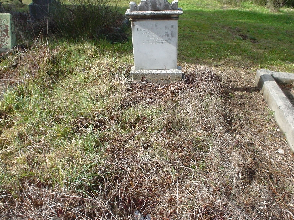 Full-size image